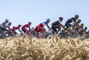 Akdağ - Tour de France 2016 Peloton