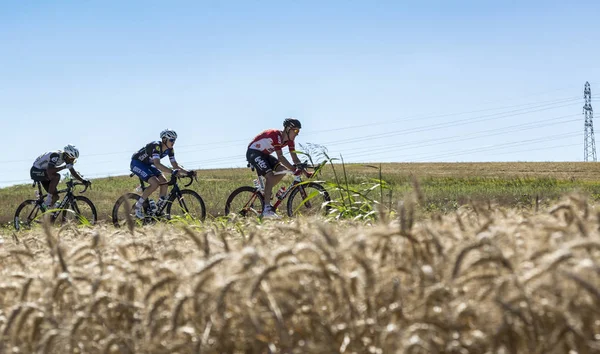 Τρεις ποδηλάτες στον κάμπο - Tour de France 2016 — Φωτογραφία Αρχείου