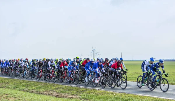 Peloton - Paris-Nice 2016 — Stok fotoğraf