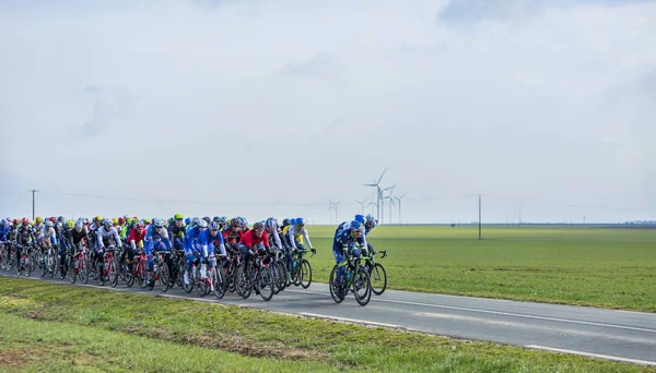 The Peloton - Paris-Nice 2016 — Stock Photo, Image