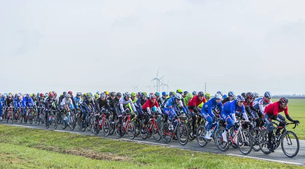 Peloton - Paris-Nice 2016 - Stock-foto