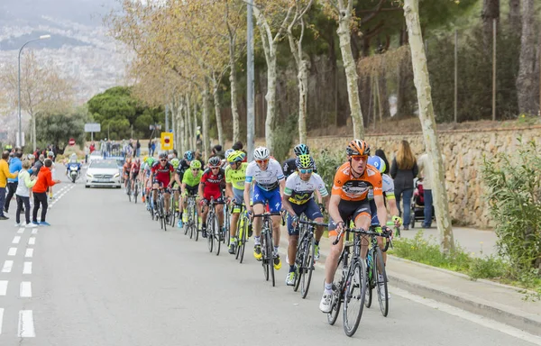 Peloton - Volta Ciclista Catalunya 2016 — Stok fotoğraf