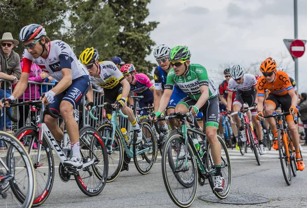 De Catalunya 2016 Peloton içinde - tur — Stok fotoğraf