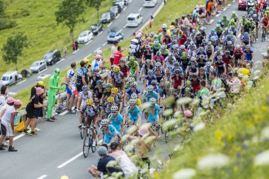 The Peloton on on Col de Peyresourde - Tour de France 2014