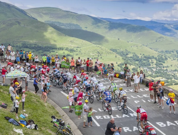 Dağlarda - Tour de France 2014 Peloton — Stok fotoğraf