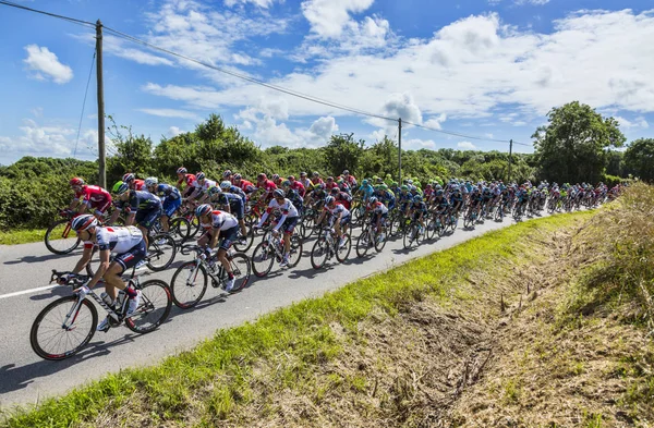 O Pelotão - Tour de France 2016 — Fotografia de Stock