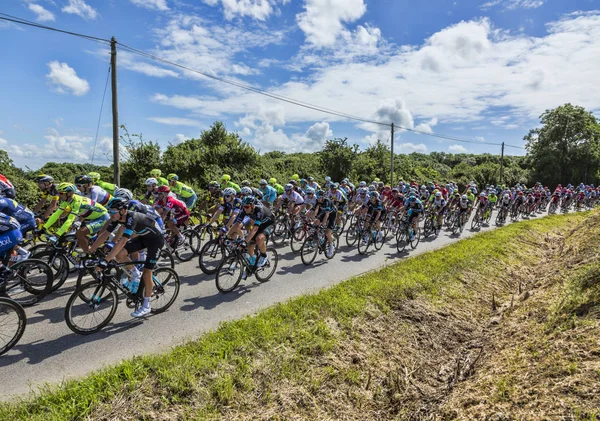 The Peloton - Tour de France 2016 — Stock Photo, Image