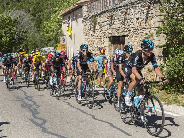 Il Peloton sul Monte Ventoux - Tour de France 2016 — Foto Stock