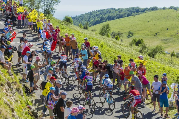 Grup Col du Grand Colombier - Tour de France 201 üzerinde bisiklet — Stok fotoğraf