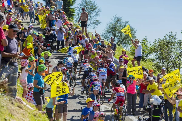 Radfahrergruppe auf dem col du grand colombier - tour de france 201 — Stockfoto