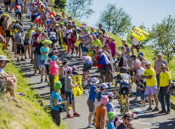  Polka Dot Jersey dağlarda - Tour de France 2016