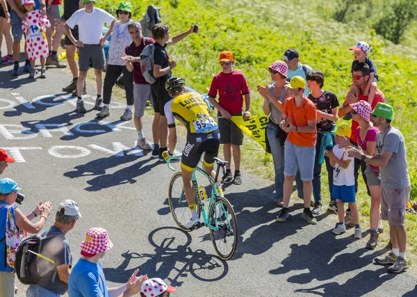 Bisikletçi Maarten Wynants - Fransa Bisiklet Turu 2016 — Stok fotoğraf