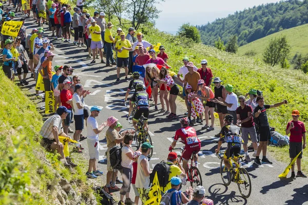 Grup Col du Grand Colombier - Tour de France 201 üzerinde bisiklet — Stok fotoğraf