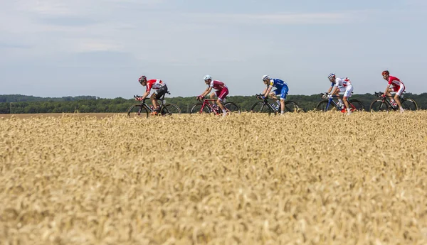 Radfahrergruppe - Tour de France 2017 — Stockfoto