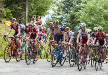 Peloton - Tour de France 2017