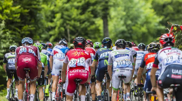 Het Peloton - de Tour de France 2017 — Stockfoto