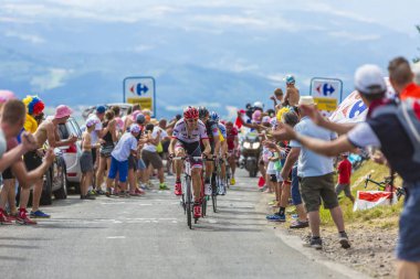 Bisikletçi Bauke Mollema - Fransa 2017