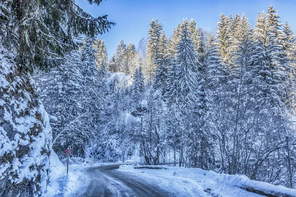 Camino de invierno en los Alpes —  Fotos de Stock