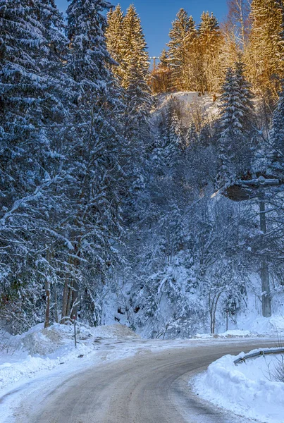Winter weg in Alpen — Stockfoto