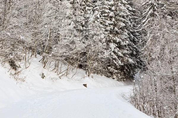Sentiero in un bosco innevato in inverno — Foto Stock
