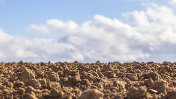 Profondità di campo molto piccola — Foto Stock