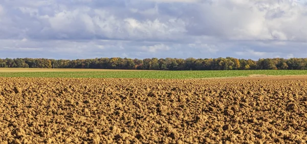Herbstlandschaft auf einem Feld — Stockfoto