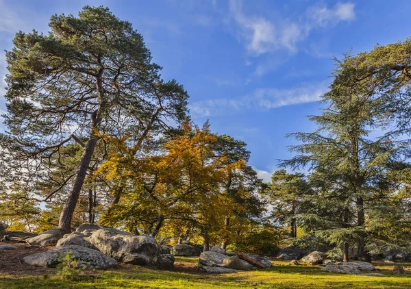 Cena de outono na floresta de Fontainebleau — Fotografia de Stock