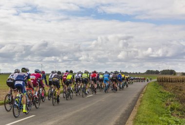 Peloton - Paris-Tours 2017