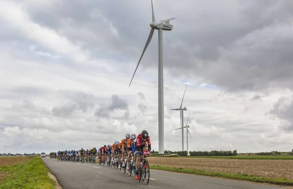 Peloton - Paris-Tours 2017 — Stok Foto