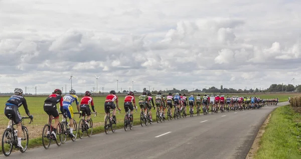 The Peloton - Paris-Tours 2017 — Stock Photo, Image