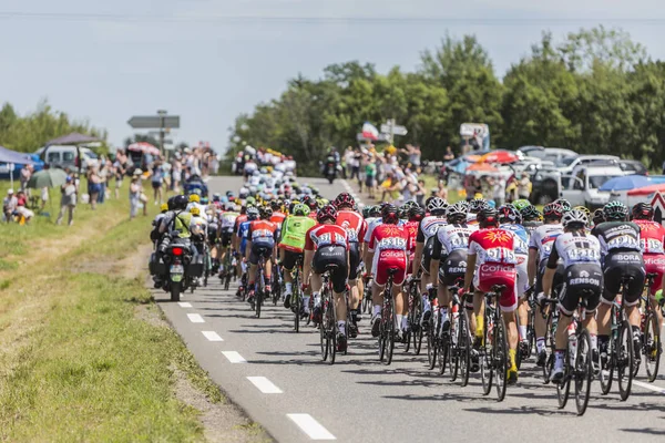 Το Peloton - Tour de France 2017 — Φωτογραφία Αρχείου