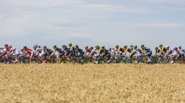 The Peloton - Tour de France 2017