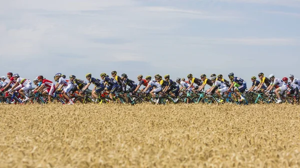 El Pelotón - Tour de France 2017 —  Fotos de Stock