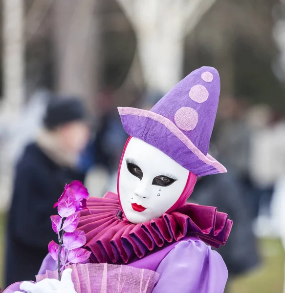 Disguised Person - Annecy Venetian Carnival 2013 — Stock Photo, Image