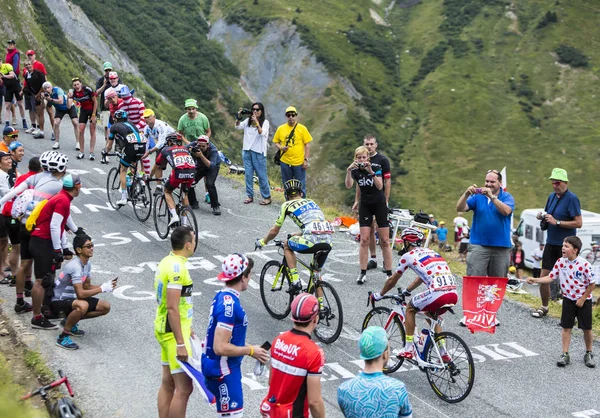 Grupo de ciclistas - Tour de Francia 2015 — Foto de Stock