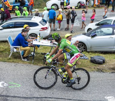 Bisikletçi Peter Sagan - Tour de France 2015