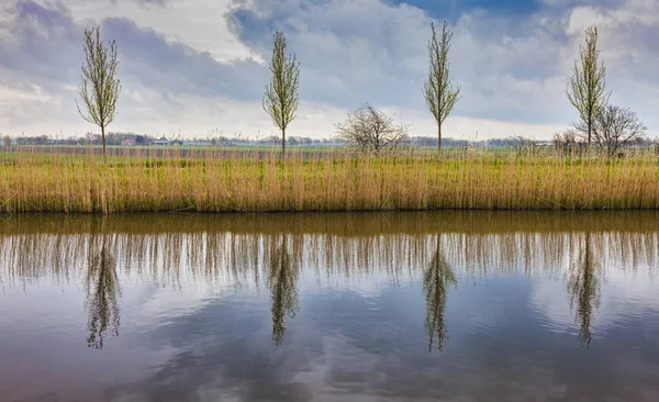 Paisagem Rural Holandesa Polder Com Canal Específico Dia Nublado — Fotografia de Stock