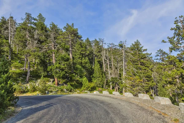 Scenic Road Znajduje Się Masywie Neouvielle Pirenejach Góry Francji — Zdjęcie stockowe