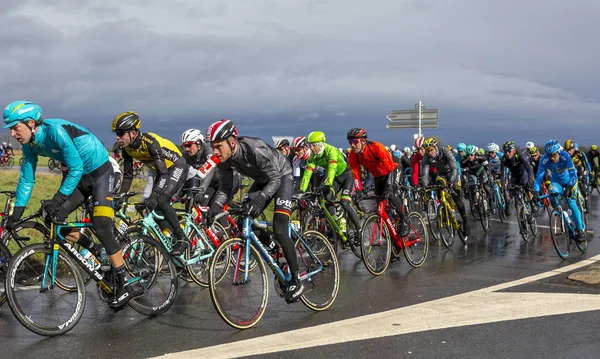 Peloton içinde - Paris-Nice 2017 — Stok fotoğraf