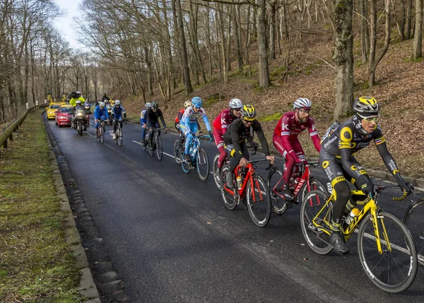 De fietser Sylvain Chavanel - Parijs-Nice 2017 — Stockfoto