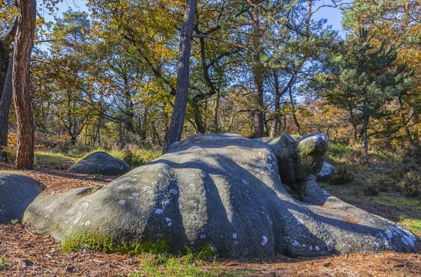 Krásný Podzim Krajina Barevné Stromy Skály Lese Fontainebleau Střední Francii — Stock fotografie