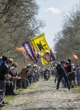 Orman Arenberg-Paris Roubaix 2015 yılında Peloton