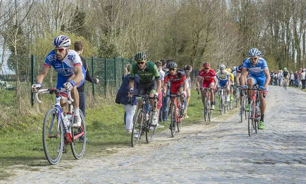 El Pelotón - Paris Roubaix 2015 — Foto de Stock