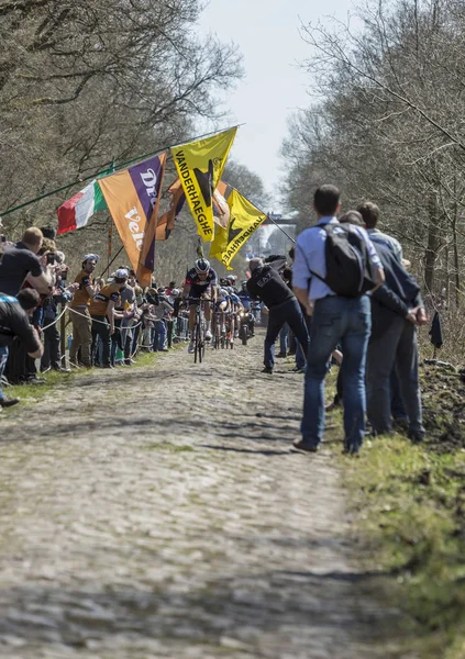 Breakaway i skogen av Arenberg-Paris Roubaix 2015 — Stockfoto