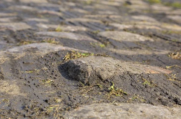 石畳の道の詳細 — ストック写真