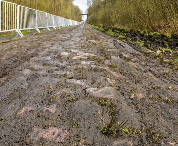 Pave d'Arenberg — Foto Stock