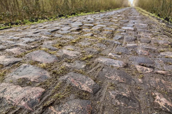 Pflaster d 'arenberg — Stockfoto