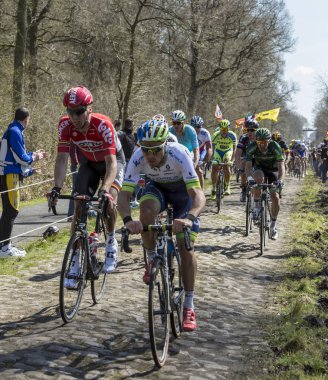 Orman Arenberg-Paris Roubaix 2015 yılında Peloton