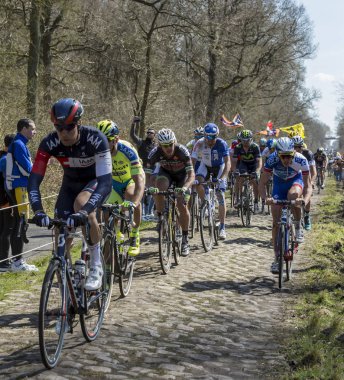 Orman Arenberg-Paris Roubaix 2015 yılında Peloton