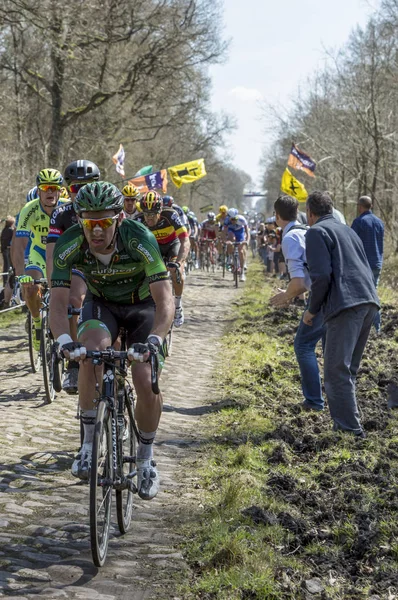 Peloton v lese Arenberg Paříž Roubaix 2015 — Stock fotografie